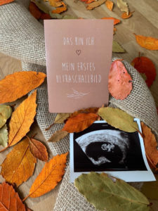 Schwangerschaft Meilensteinkarten