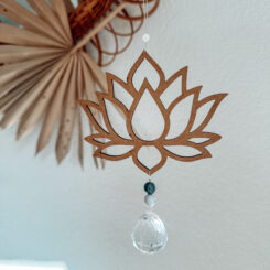 Lichtbrecher Lotusblume