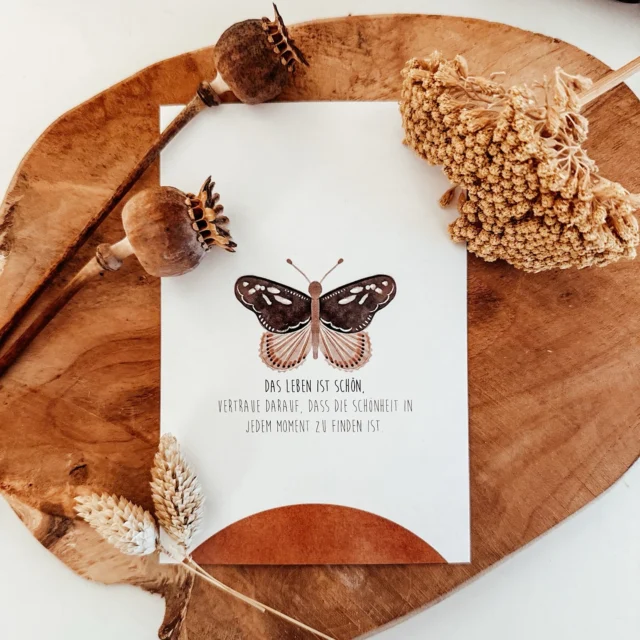 Dieser Schmetterling auf der Postkarte erinnert mich an die Schönheit des Moments – an die kleinen Dinge, die oft im Alltag übersehen werden. 🦋 Der Spruch ‚Vertraue darauf, dass in jedem schönen Moment etwas Schönes zu finden ist‘ ist eine wunderbare Erinnerung, bewusst innezuhalten und die Magie des Augenblicks zu spüren.

Wie oft lassen wir die schönen Momente an uns vorbeiziehen, ohne wirklich darin aufzutauchen? Heute lade ich euch ein, einen Moment bewusst wahrzunehmen: Was ist der schönste Moment deines Tages? Vielleicht ein Lächeln, ein unerwartetes Kompliment oder einfach ein ruhiger Augenblick für dich selbst.

Teile deinen schönsten Moment des Tages in den Kommentaren und lass uns gemeinsam das Positive im Alltag feiern! 💛
.
Die Postkarte findest du im ONLINESHOP! Für später speichern 
#Schmetterling #SchöneMomente #PositivesDenken #Inspiration #Vertrauen #KleineGlücksmomente #Achtsamkeit #GlaubAnDasSchöne“*